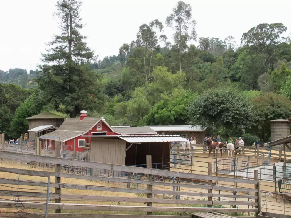 Little Farm, Tilden Park, Berkeley