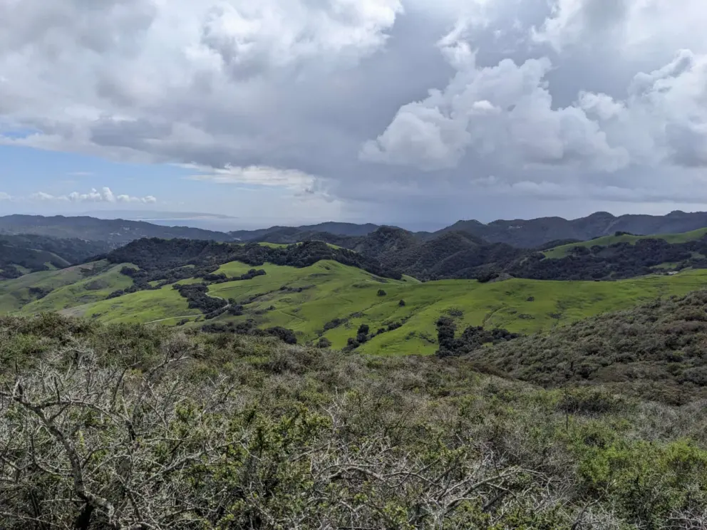 Green open spaces. 