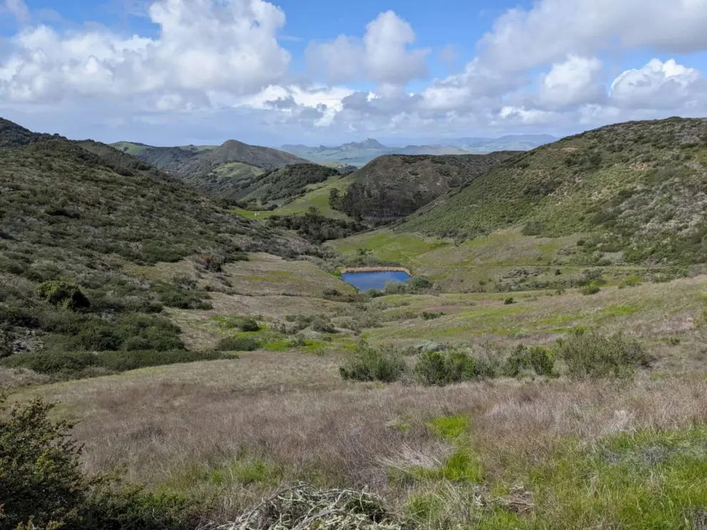 A little patch of water. 