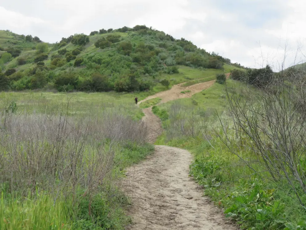 The trail winding up a hill, with a sole hiker. 