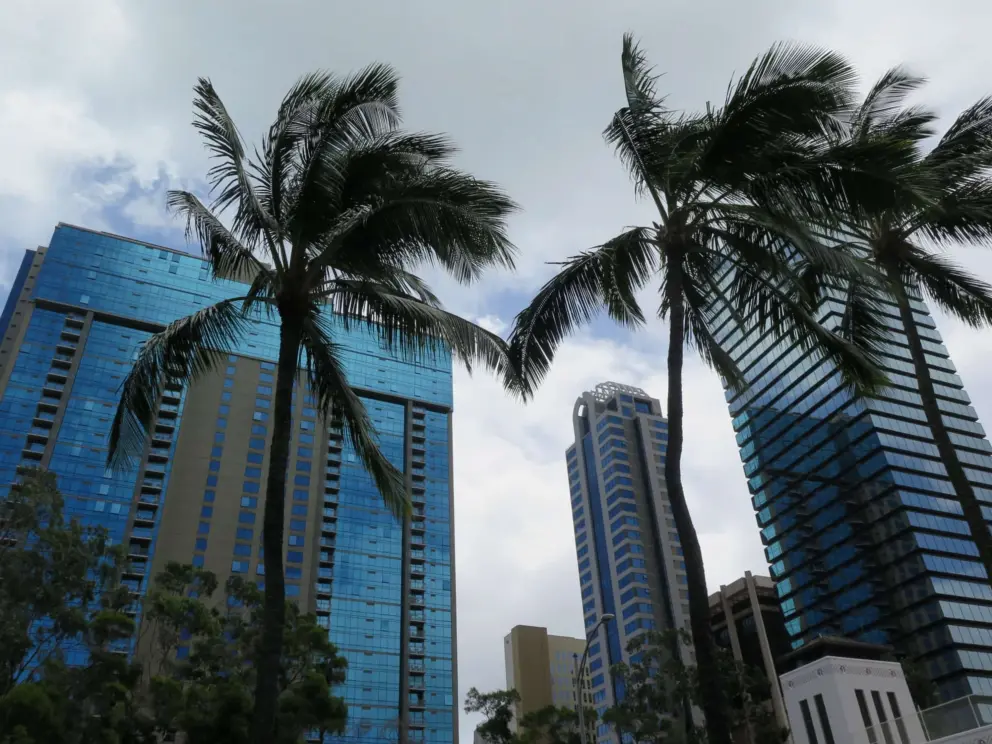 Modern glass skyscrapers, as seen from Fort Street, in downtown Honolulu 15 minutes walk north. 