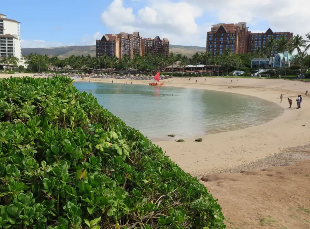 The Disney-style buildings look a little out of place in Hawaii. 
