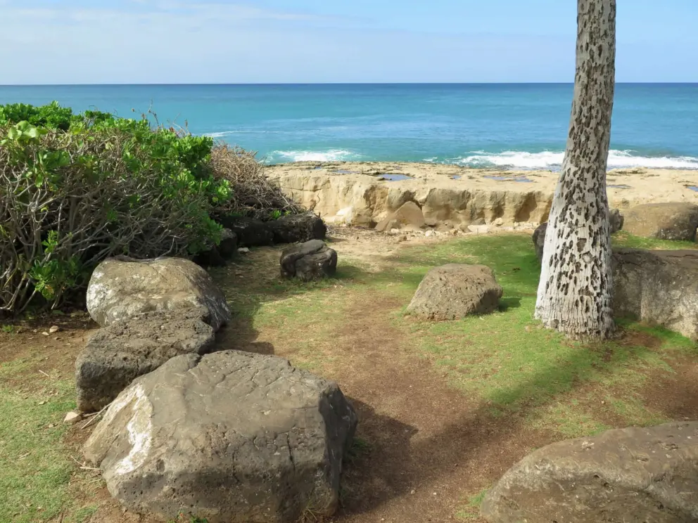 Lava rocks, fairy grass, and rich turquoise water. 