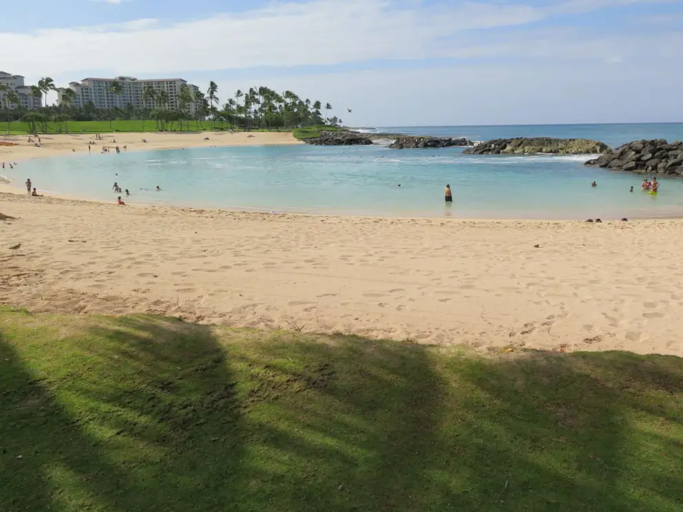 Palm tree shade by the lagoon. 