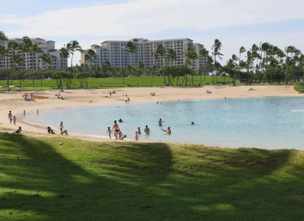 Views of the lagoon from the walking path. 