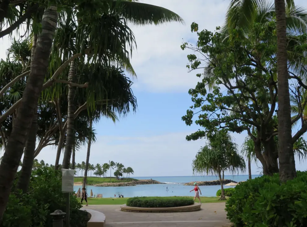 The boardwalk, with water views. 