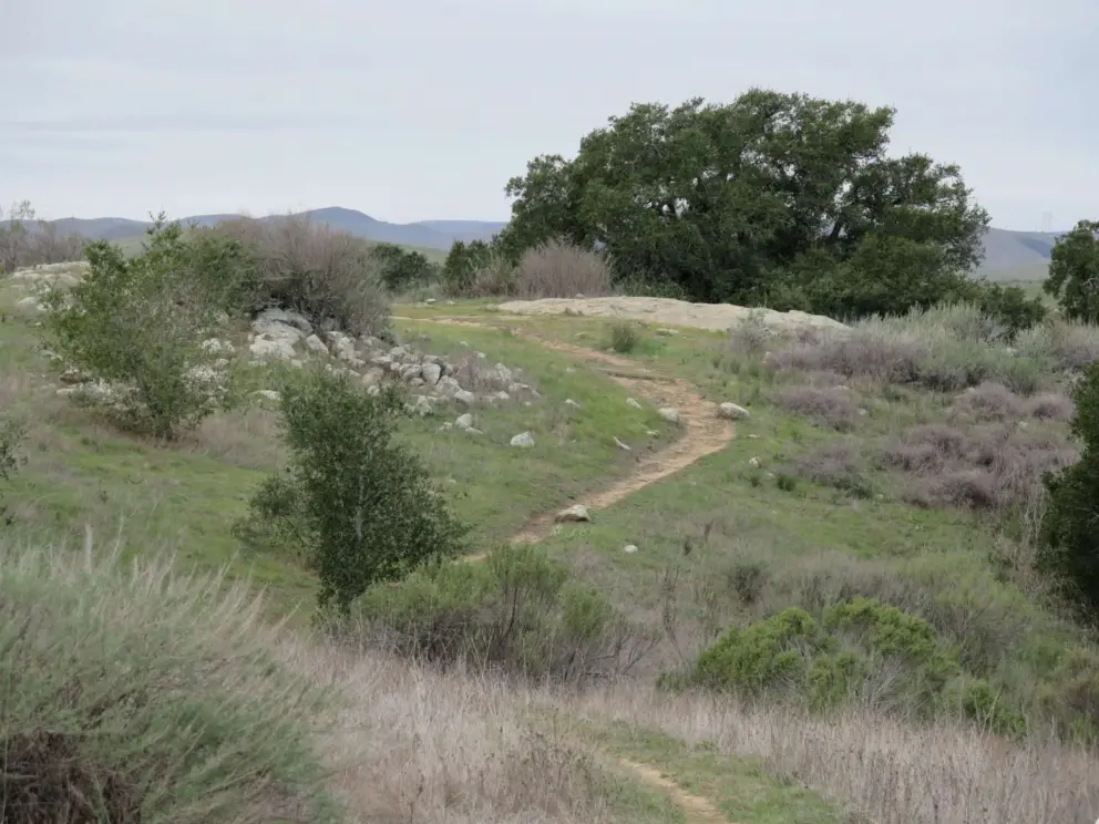 The winding path and boulders. 