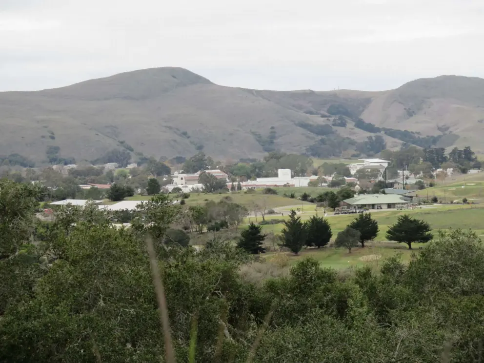The golf course and its cypress trees, and Cuesta College in the distance. 