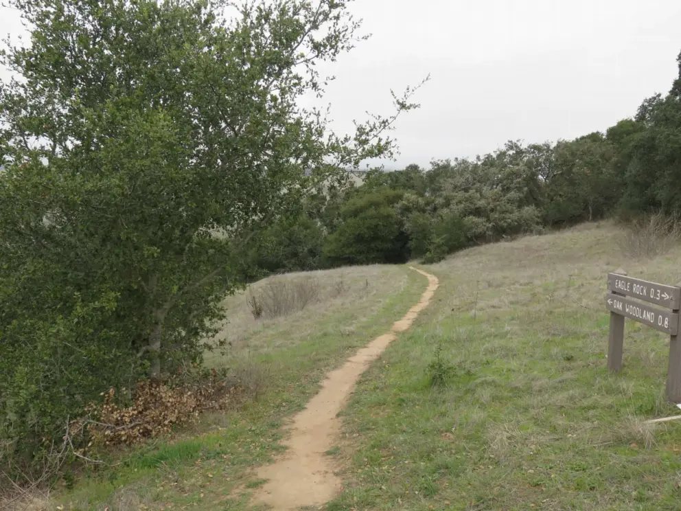 You can take the Oak Woodland Trail on your way down, to vary things.