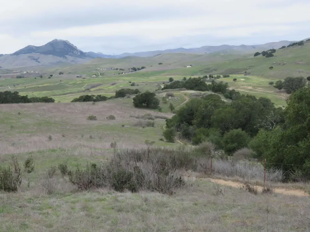 Golf course and wide open spaces. Looking toward Morro Bay and Hollister Peak.