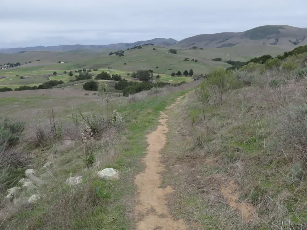 The narrow path through wide open spaces makes you want to sing "the hills are alive..."