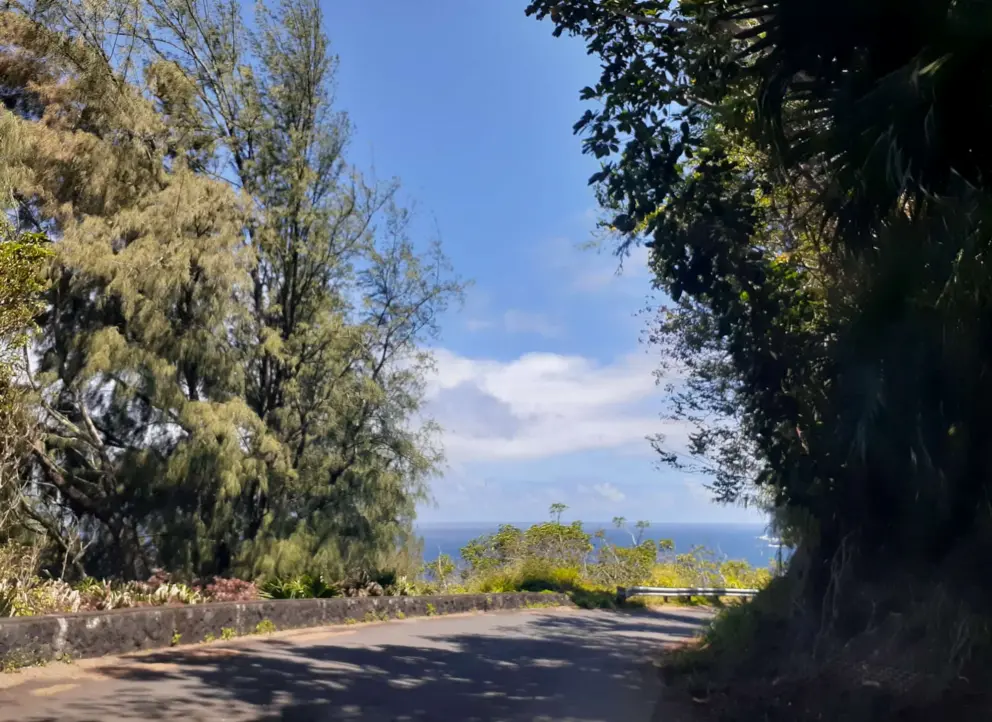 The beautiful drive down to the park. 