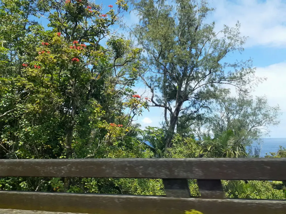 The ocean and vegetation beside you.