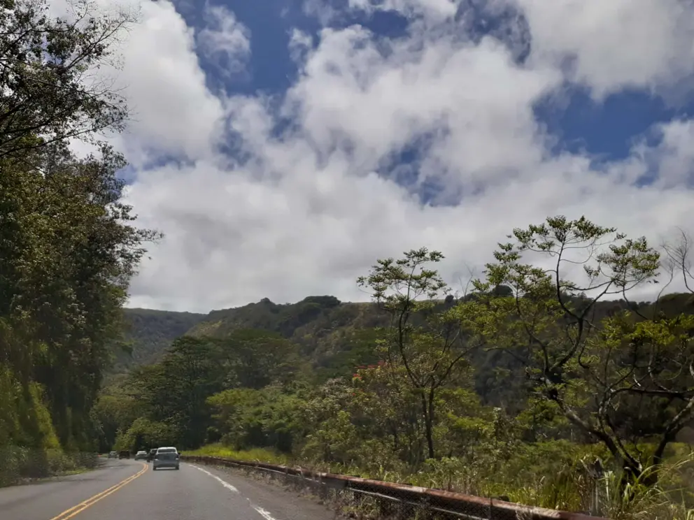 Wonderful mountain views. 