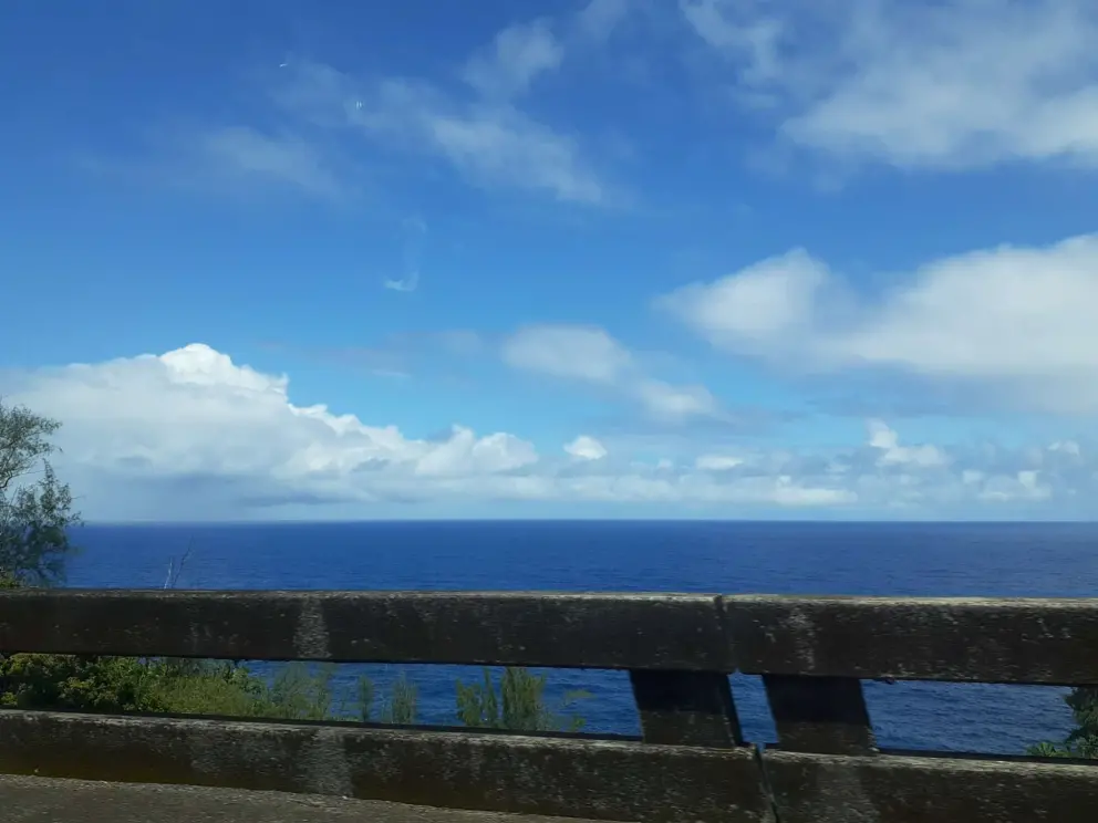 The ocean is such a deep blue!