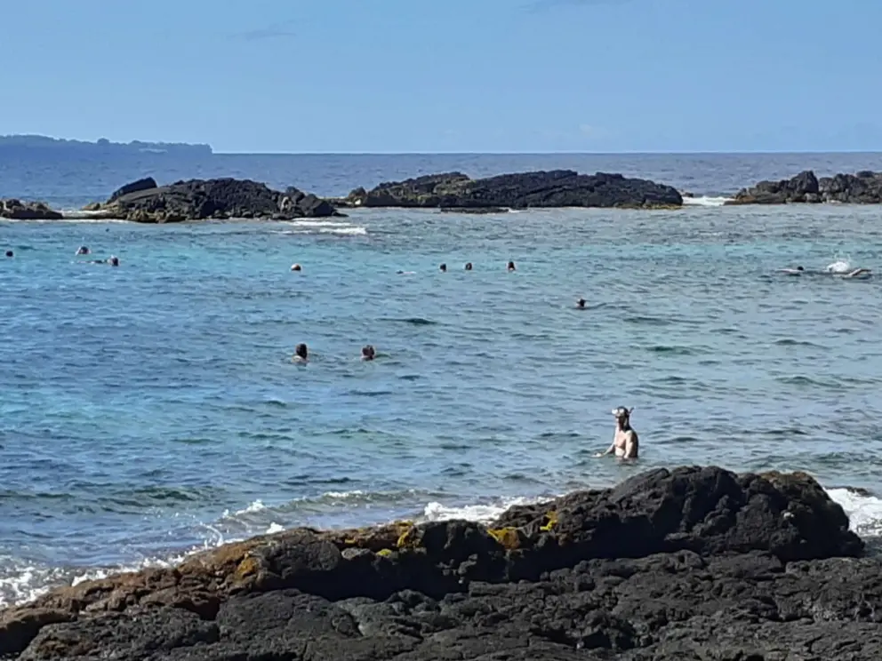 Snorkelers and swimmers. 