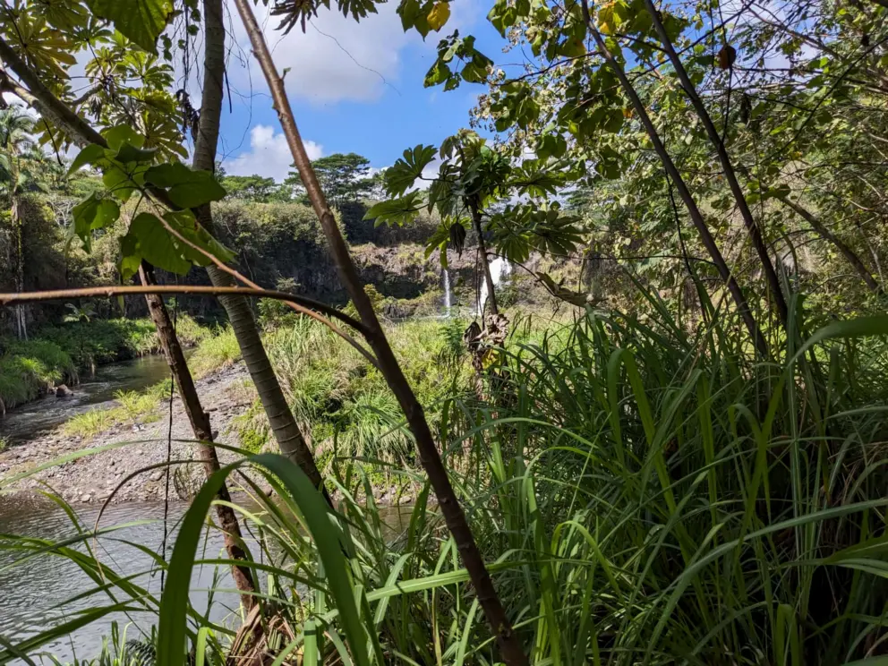 View of the waterfalls through the foliage. 