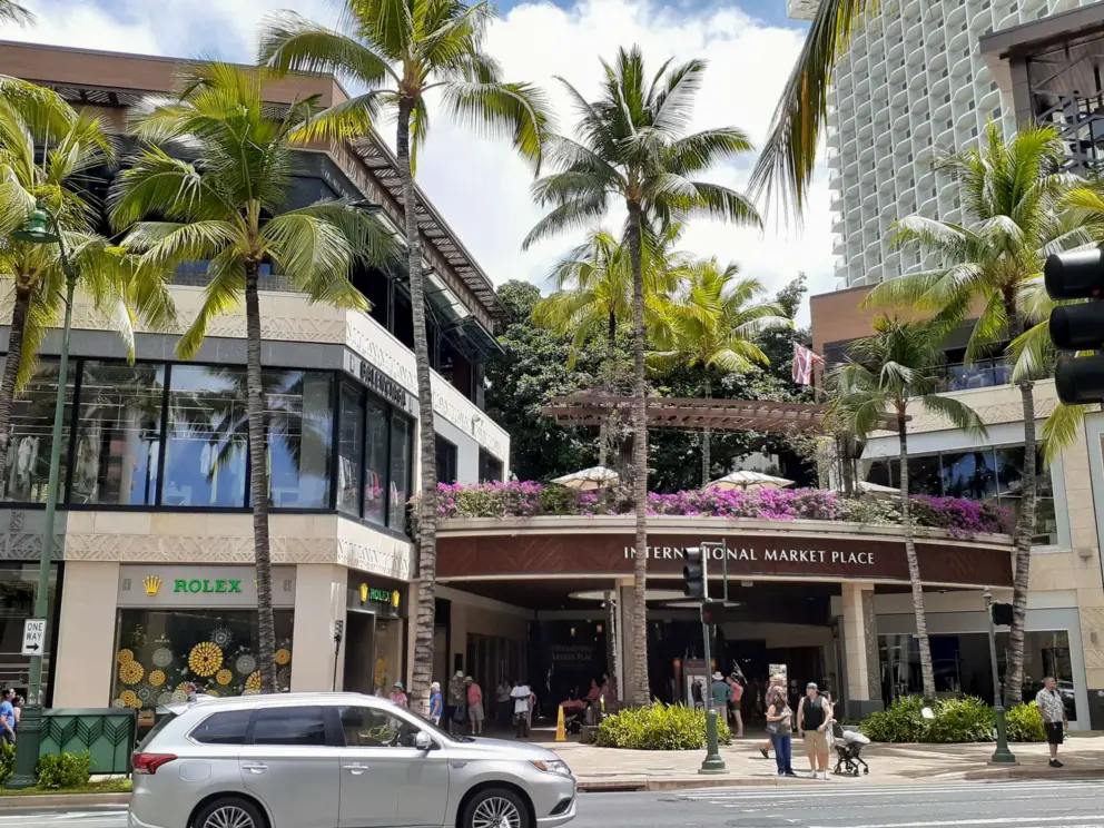 International Marketplace and its abundance of vegetation.