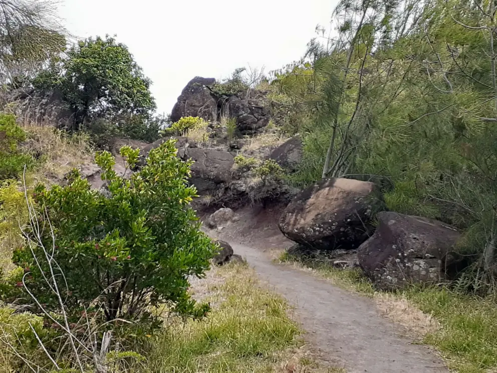 Rocks along the trail. 