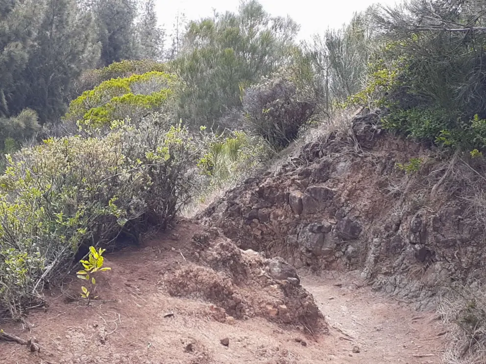 The trail winds past a red dirt cliff. 