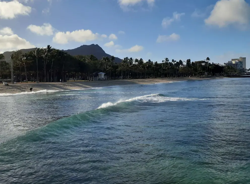 The boardwalk runs along this wonderful stretch of coastline. 
