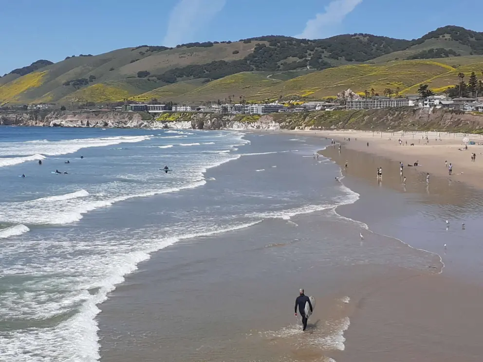 Surfer walking along the shore in April. 