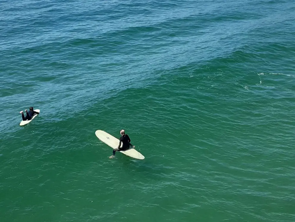 Surfers waiting for a wave. You must keep your feet out of the water or they get a sort of brain freeze sensation.