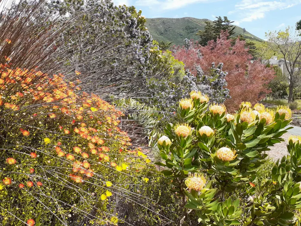 The South Africa section has wonderful colors. 