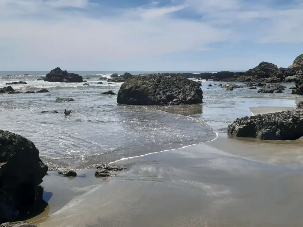 I love watching the water swish around the rocks to shore. 