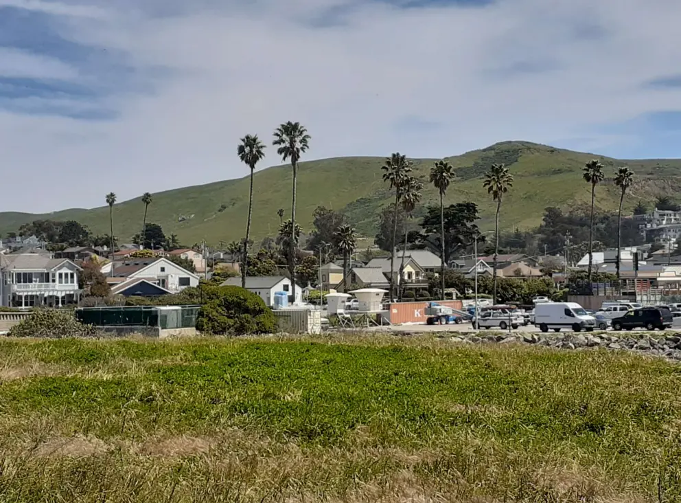 Mountains and Cayucos town in the distance. 
