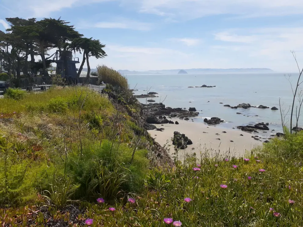 Purple flowers and the pristine beach below. 