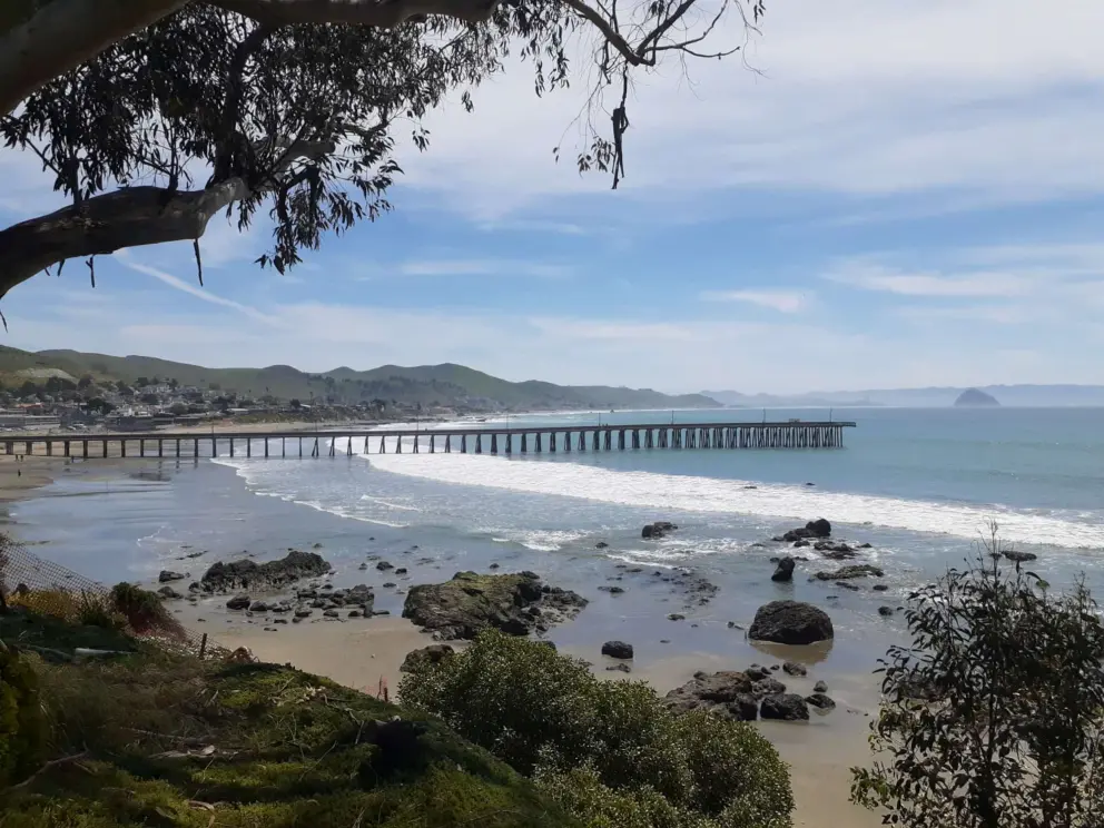 The Cayucos pier below. 
