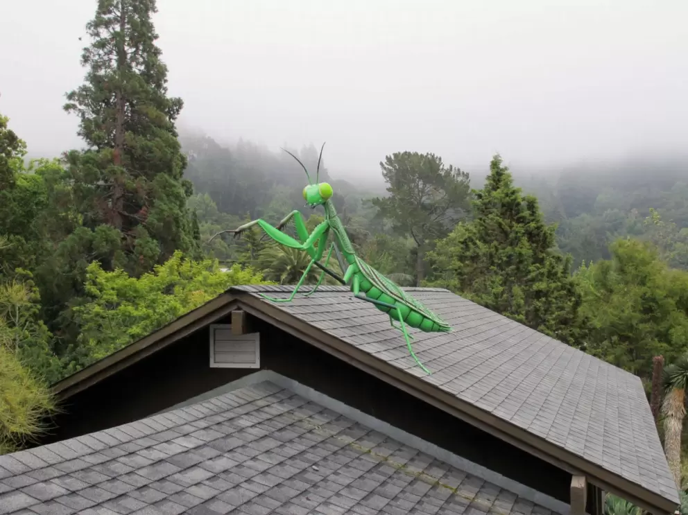 Grasshopper statue on a rooftop!