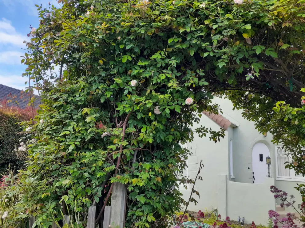 Arch of flowers. 