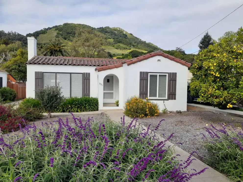 Purple sage, a Spanish house, and Cerro San Luis with a patch of sunlight. 
