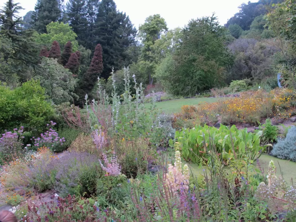 Flowers and herbs near the peaceful lawn.