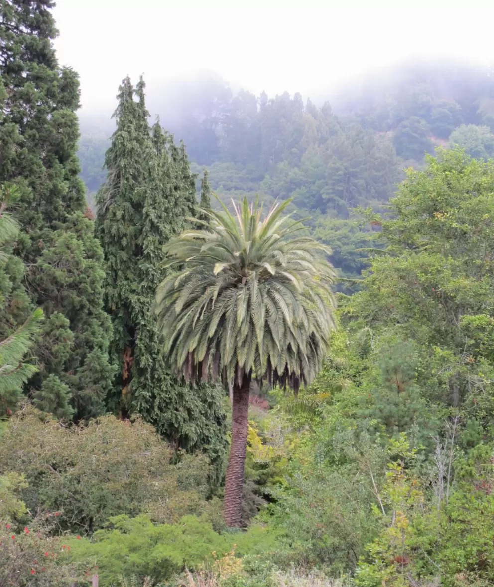 More stunning views.