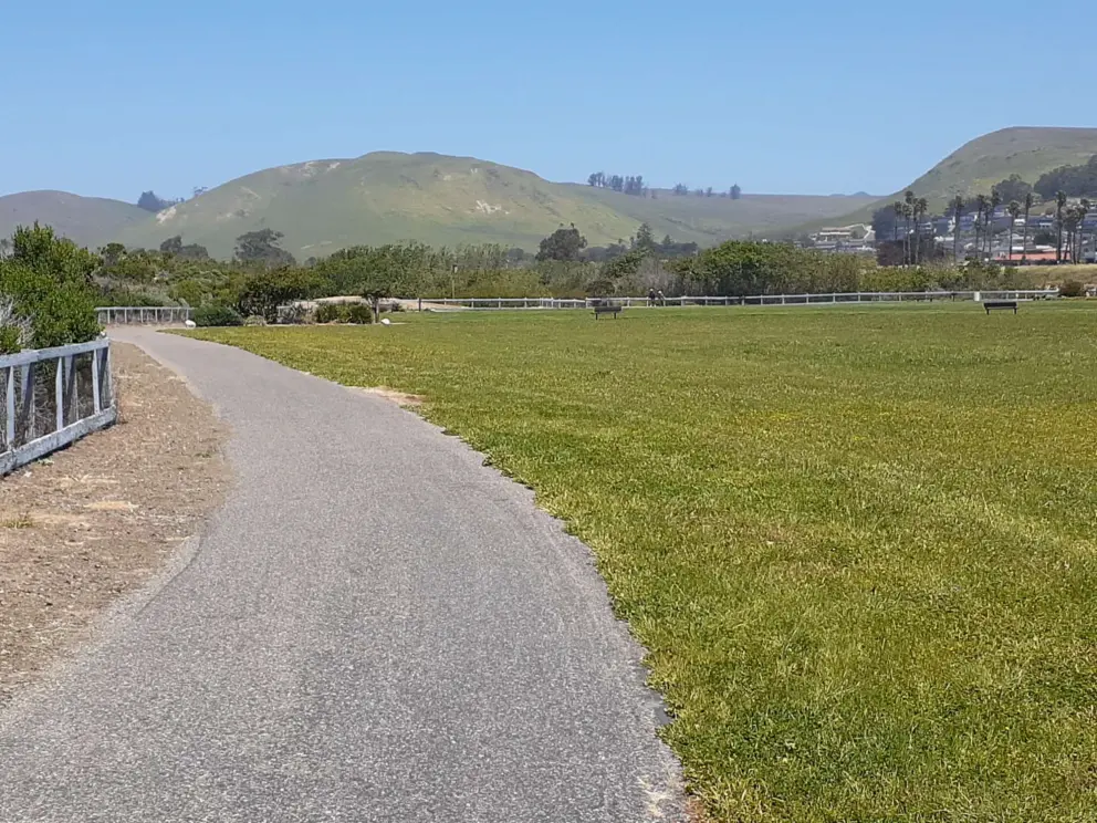The path, beside a huge field. 