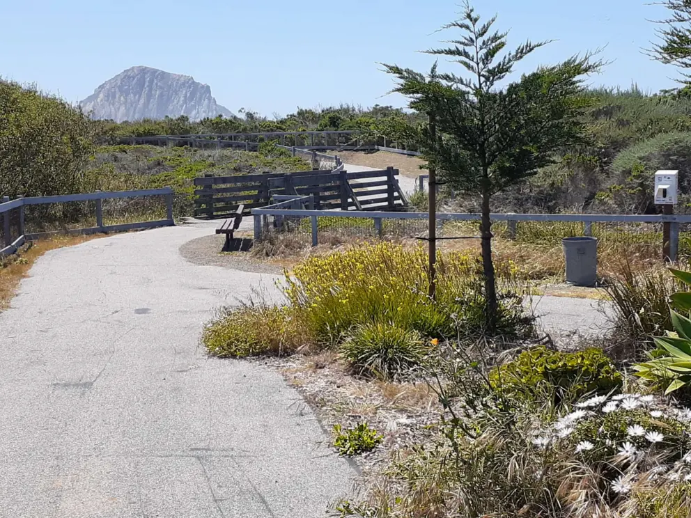 The winding path looks cute with Morro Rock in the distance. 