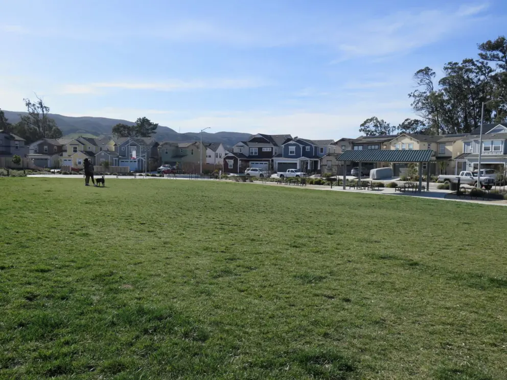 The huge lawn.