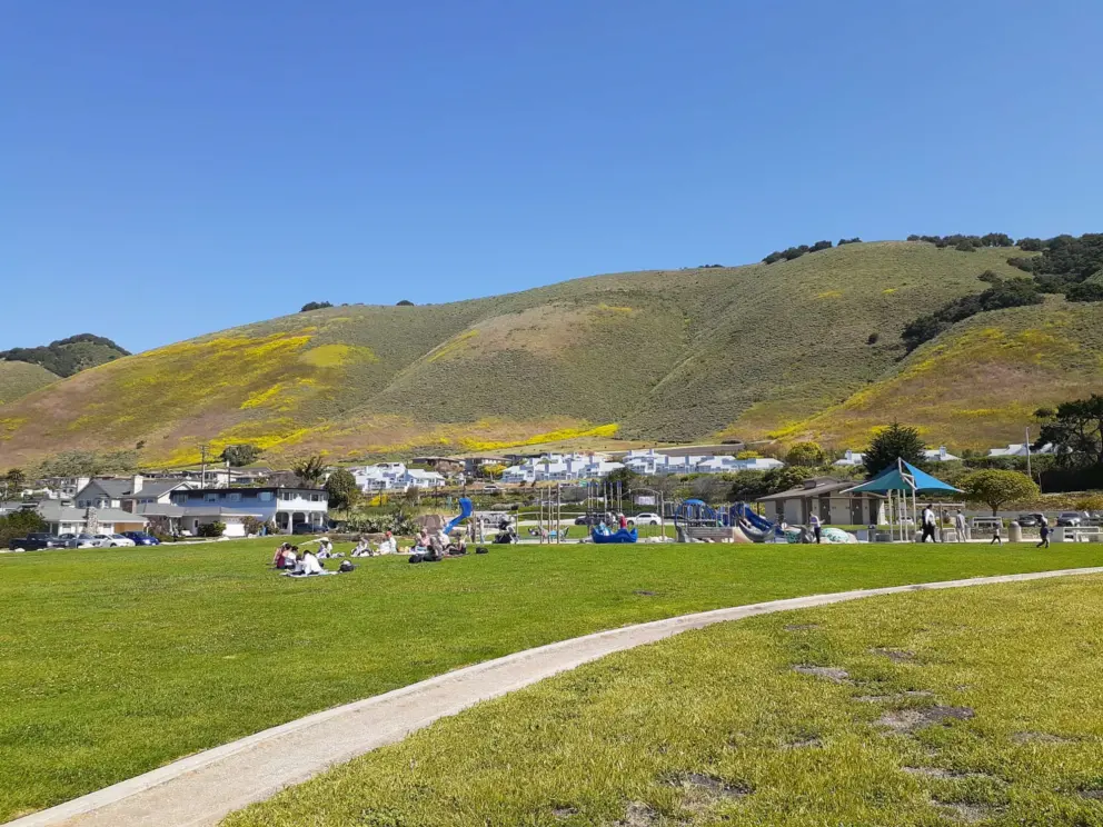 The playground and hills covered in yellow flowers in April. 