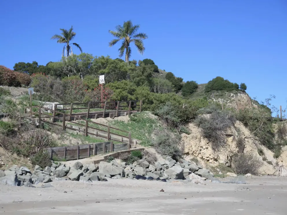 The path down to the beach and two palms trees. 