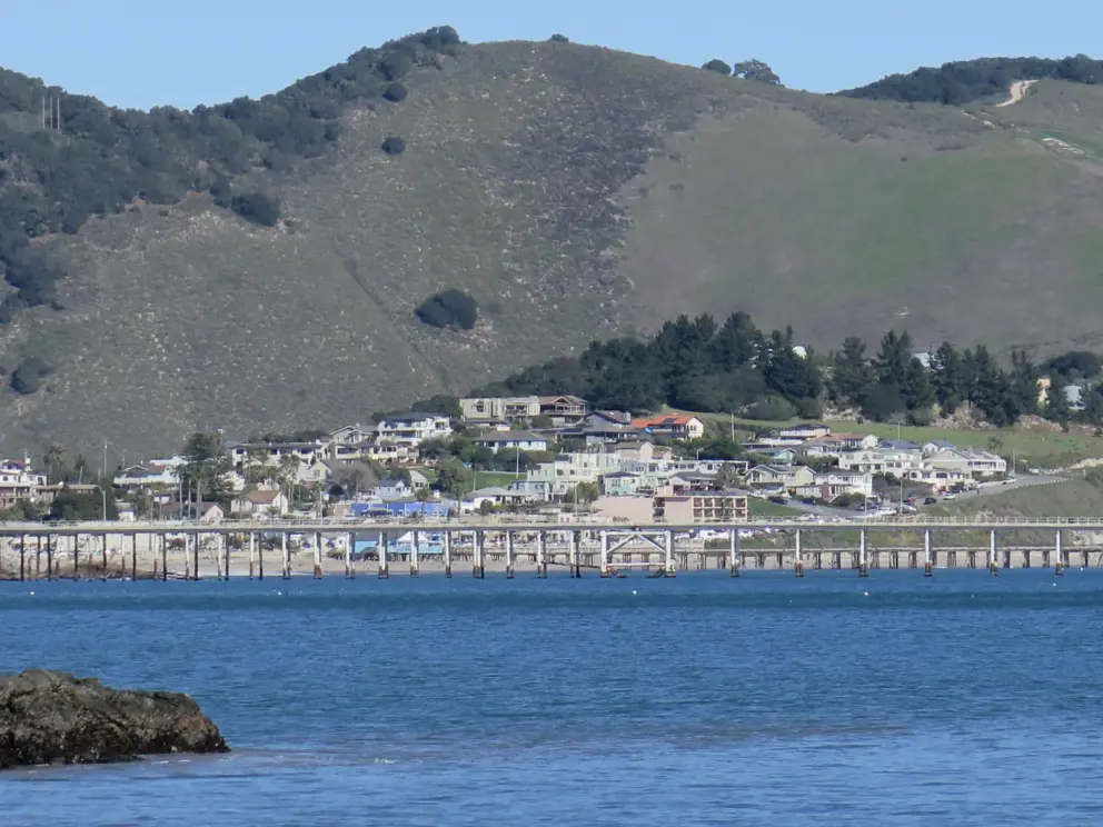 View of Avila Beach town and the stand of trees above it. 