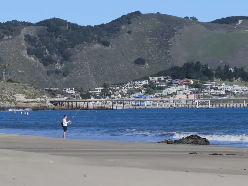 Young man fishing at the shore. 