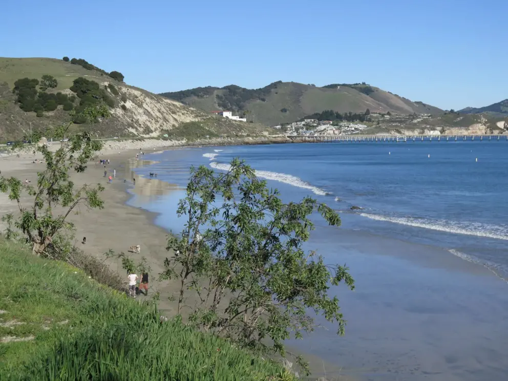The view from atop Olde Port Beach.
