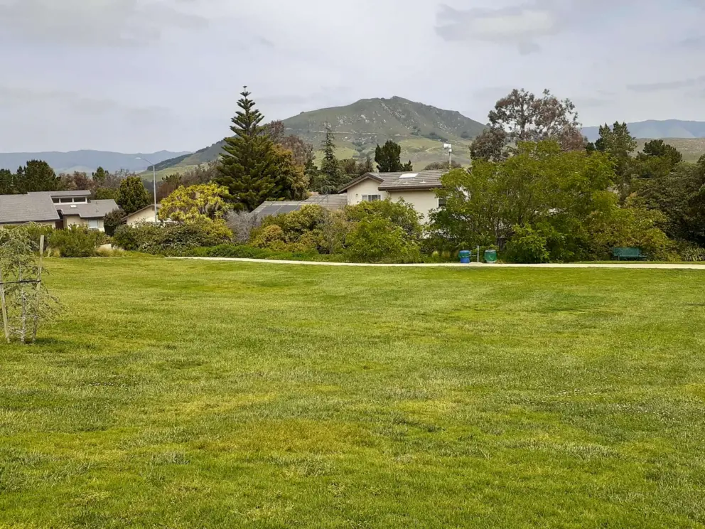 A path circles the park. 