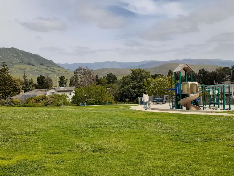 A lady walks her dog near the playground. 