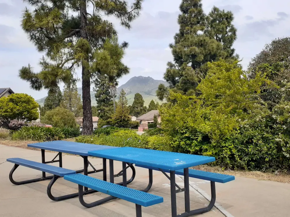Two picnic tables with a view. 
