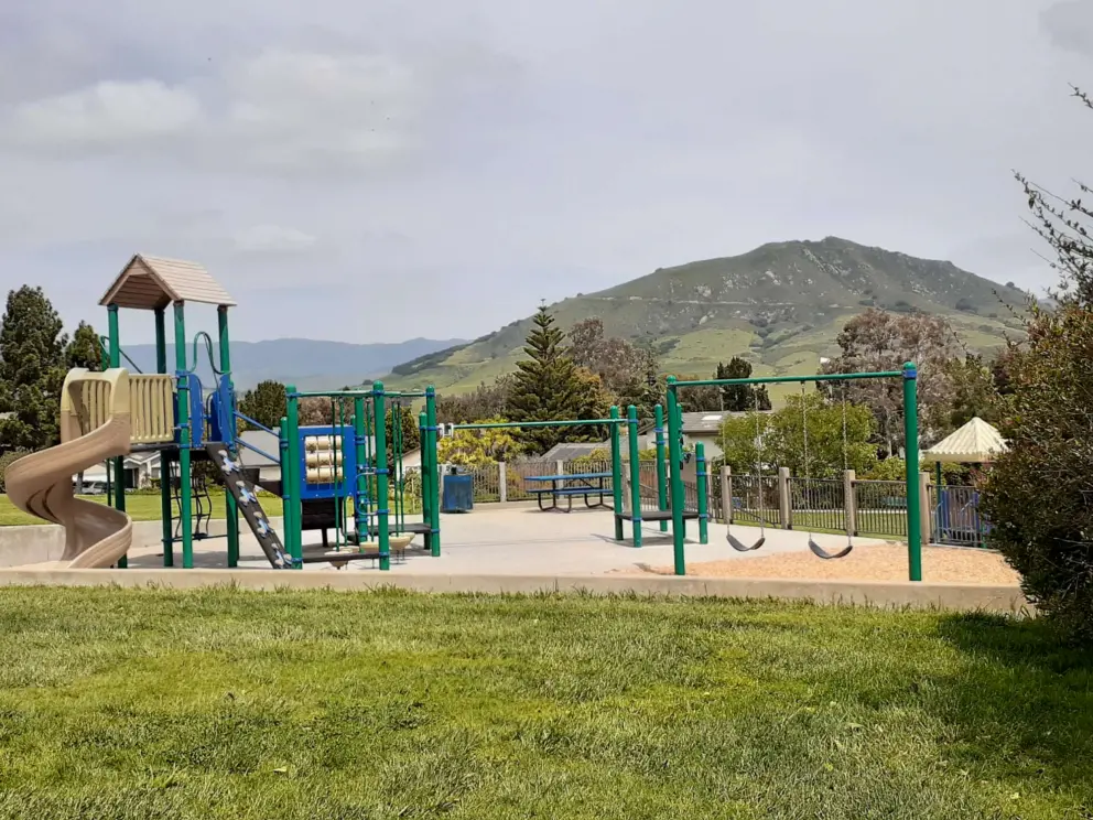 Swings and play structure. 