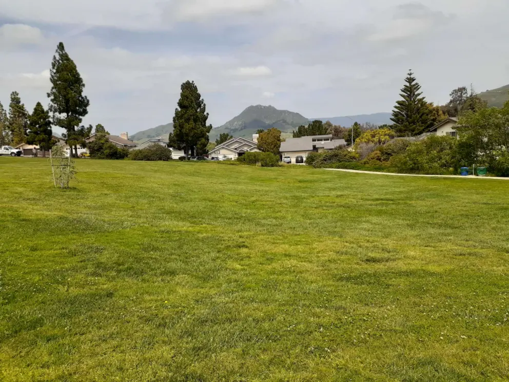 The lawn is huge!